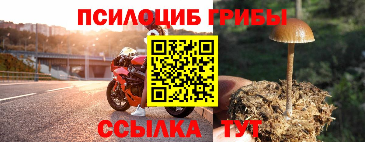 Галлюциногенные грибы Magic Shrooms Ртищево