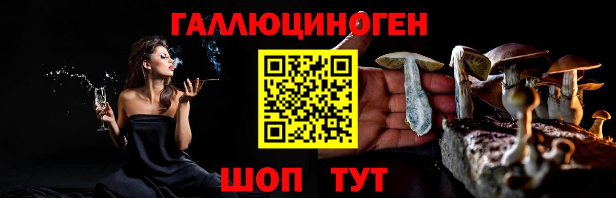 Галлюциногенные грибы Psilocybe  Вход с VPN  Галлюциногенные грибы GOLDEN TEACHER  Ртищево 